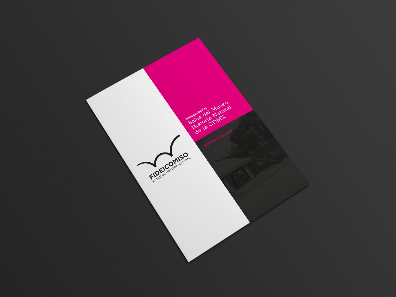 brochure- museo historia-1