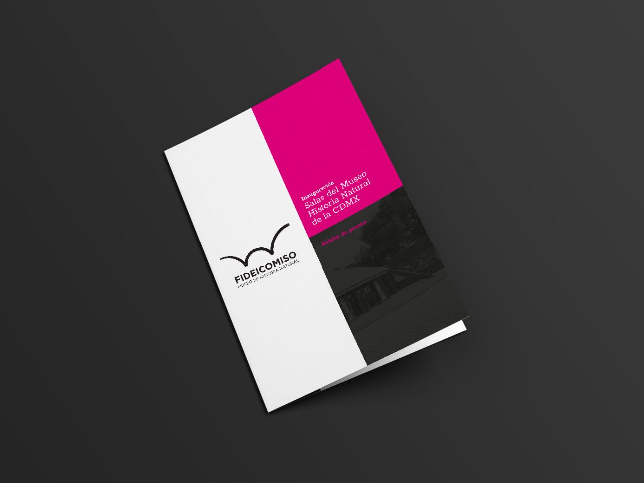 brochure–museo-historia-3