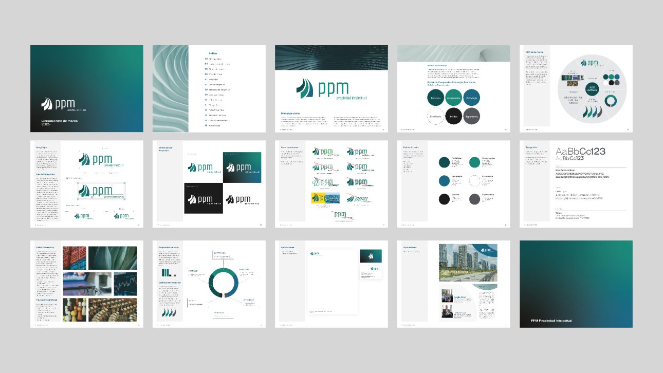 PPM_case_Artboard 10